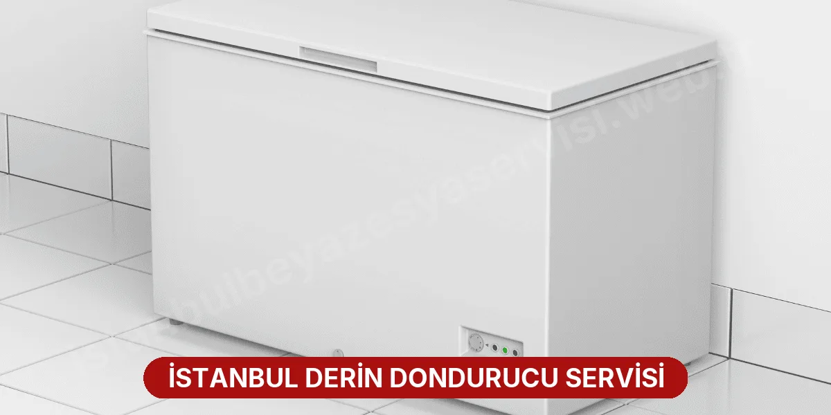 İstanbul Derin Dondurucu Servisi