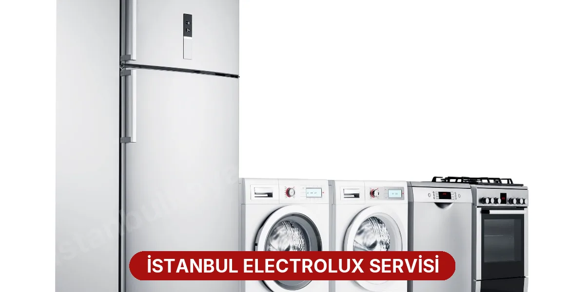 İstanbul Electrolux Servisi
