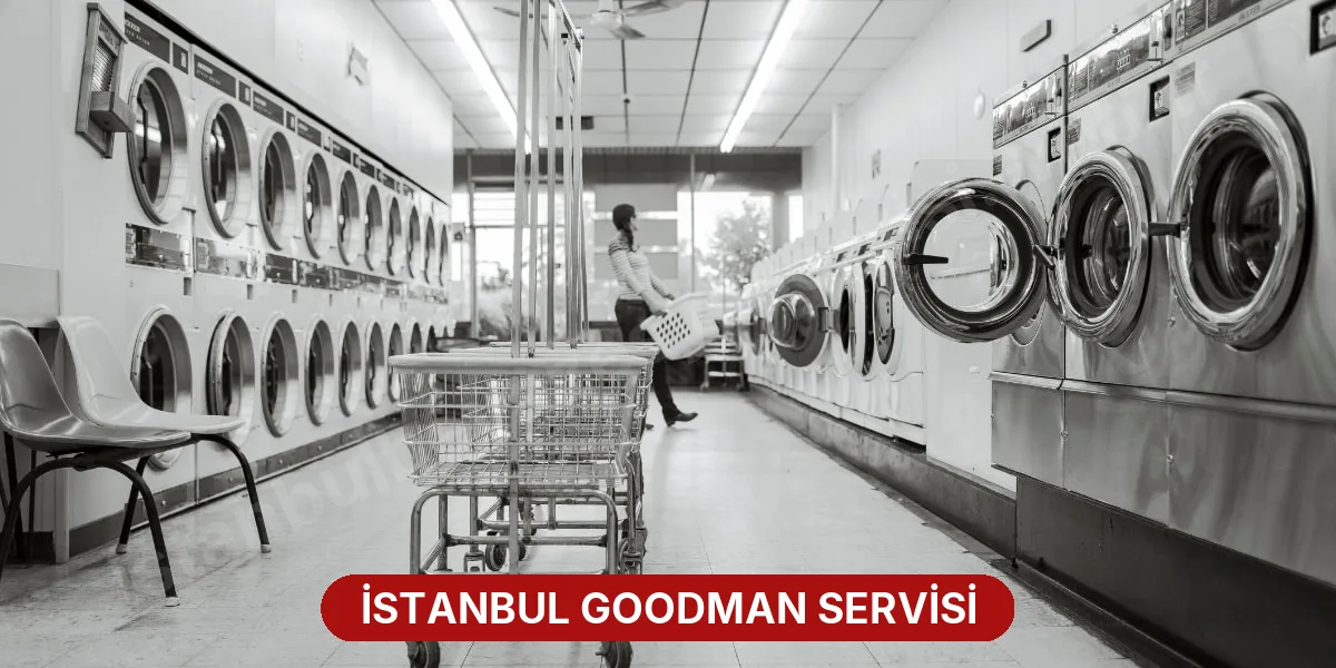 İstanbul Goodman Servisi
