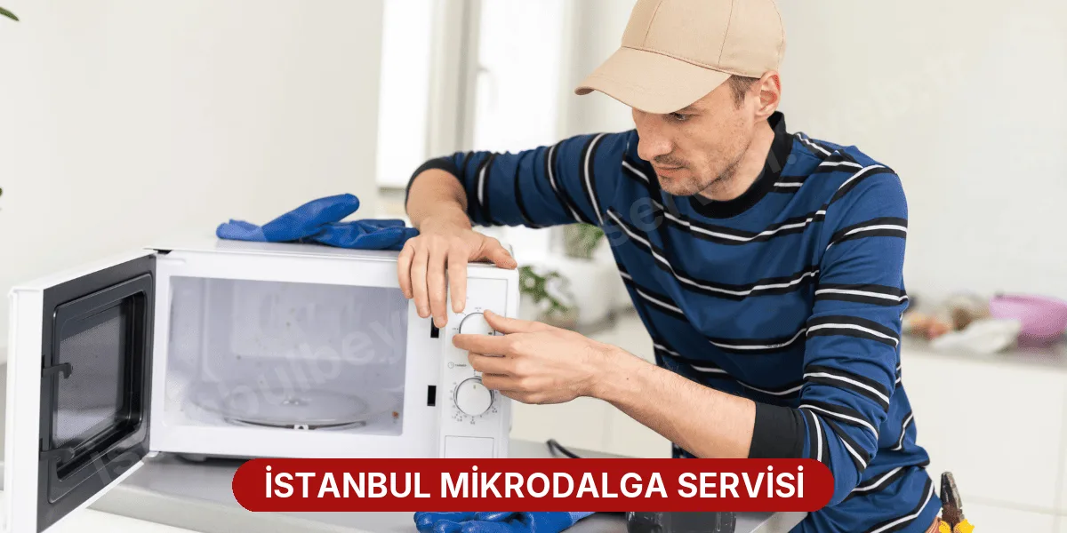 İstanbul Mikrodalga Servisi